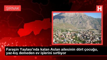 Faraşin Yaylası’nda kalan Aslan ailesinin dört çocuğu, yaz-kış demeden konut işlerini sırtlıyor
