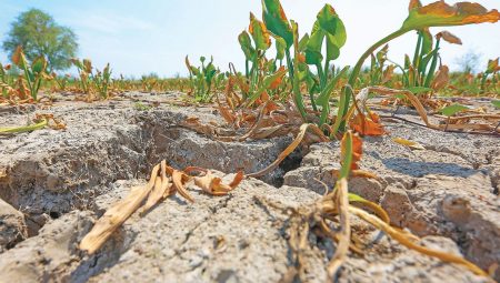 Global iktisatta ‘iklim krizi’ tesiri