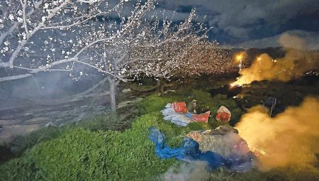 Zirai don eseri yaktı geçti